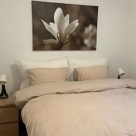 דירה Comfortable Living - One-bedroom *